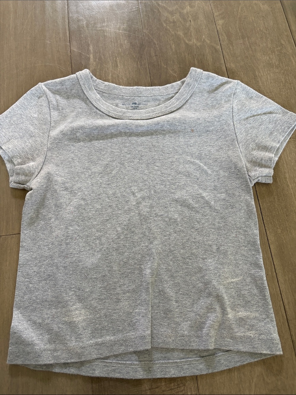 Brandy Melville Short Sleeve Basic T‑Shirt in Heather Gray